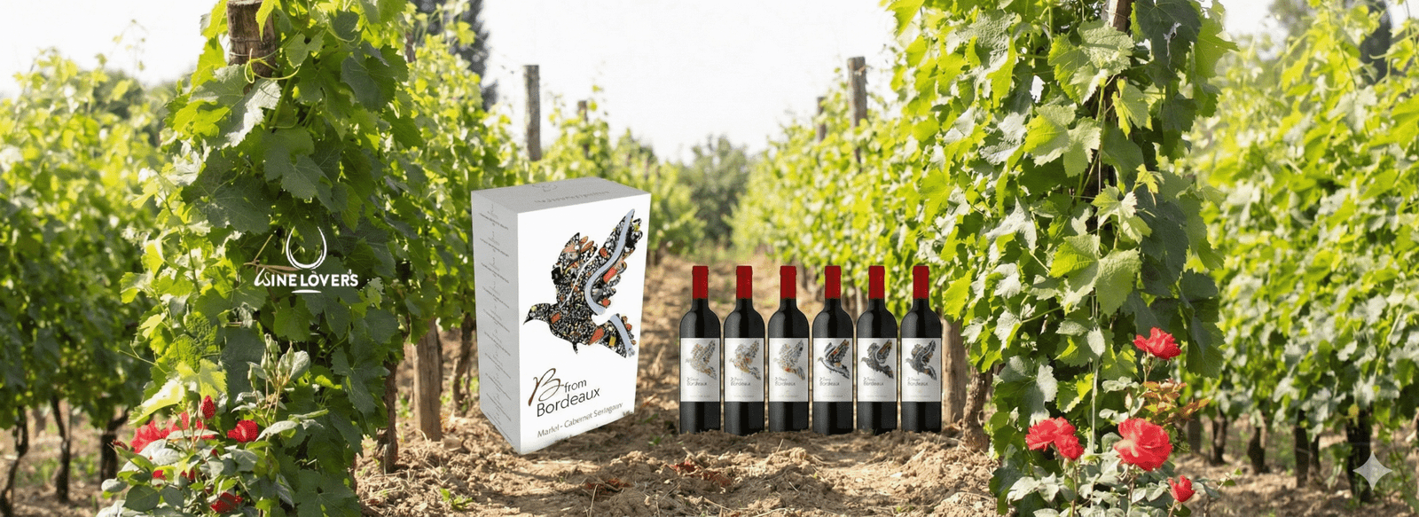 Cabernet Sauvignon - wineloversstore