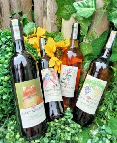 Home - wineloversstore