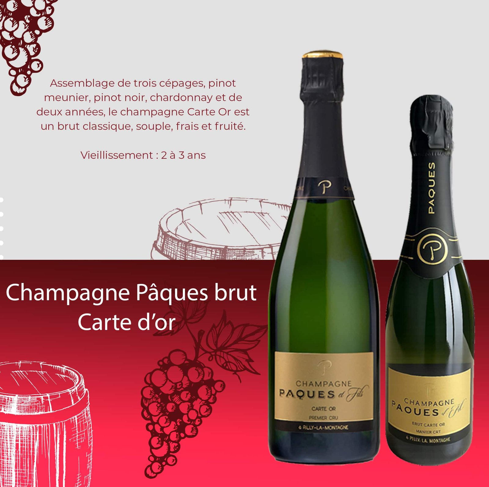 Home - wineloversstore