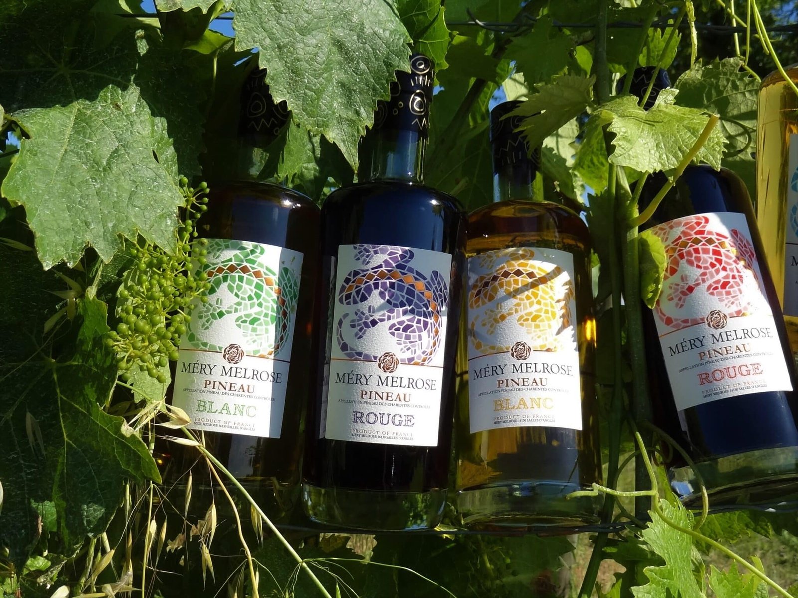 Pineau - wineloversstore