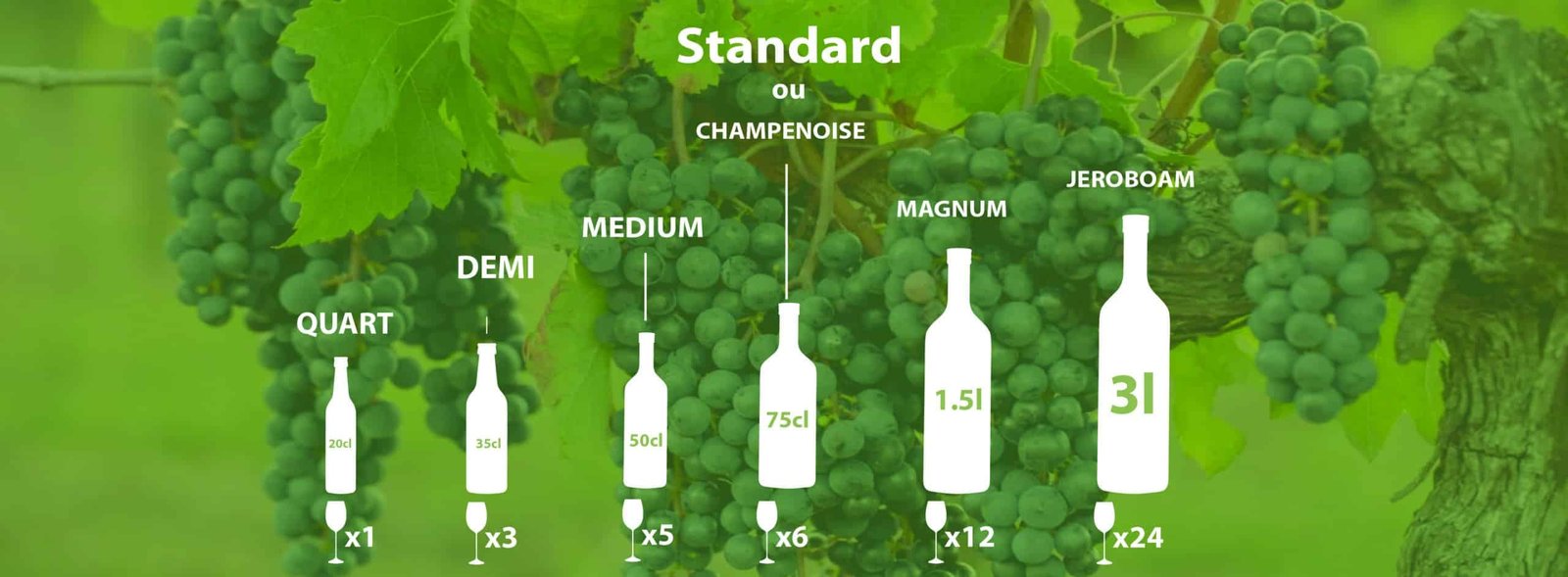 Home - wineloversstore